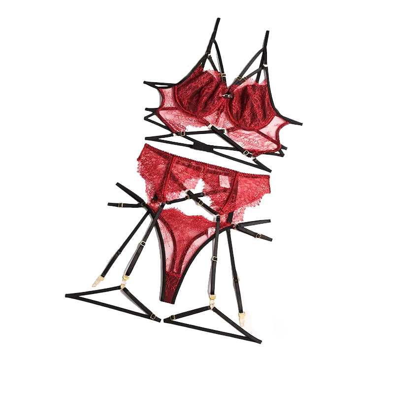 New Lace Sexy Lingerie Transpa - đánh giá và giá Lace Bralette Set